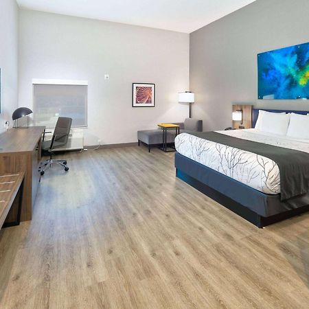 La Quinta Inn&Suites by Wyndham Dallas/Fairpark Bagian luar foto