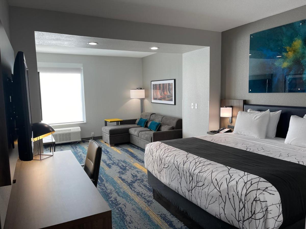 La Quinta Inn&Suites by Wyndham Dallas/Fairpark Bagian luar foto