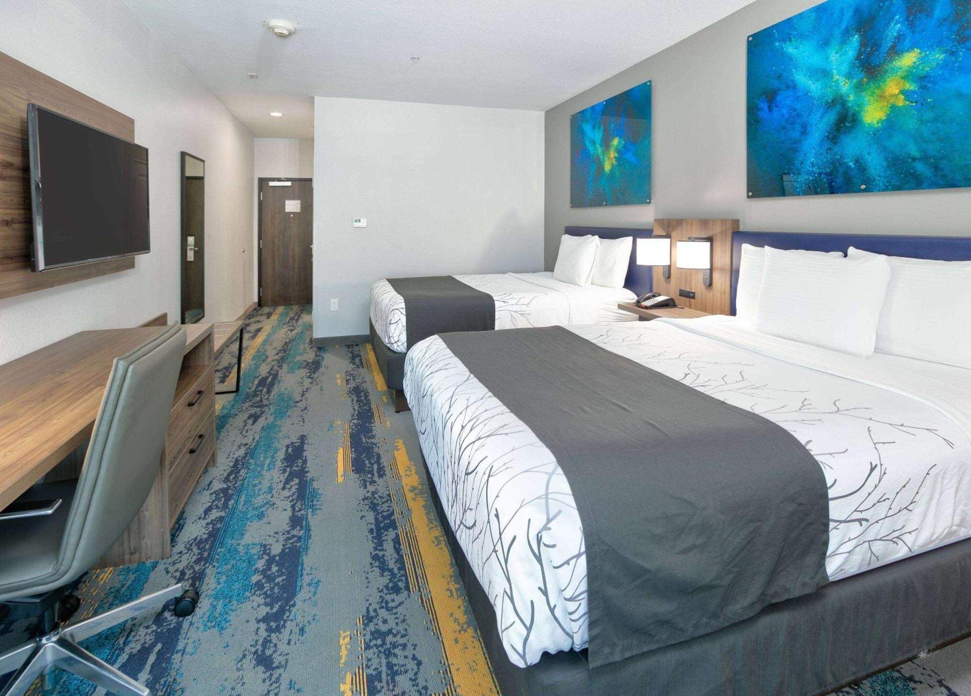 La Quinta Inn&Suites by Wyndham Dallas/Fairpark Bagian luar foto